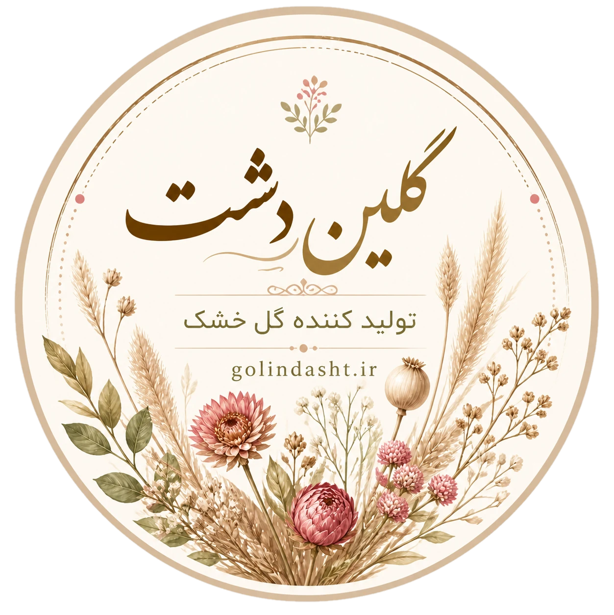 cropped-1779146355242.png