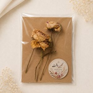 رز مینیاتوری خشک طبیعی کرمی استخوانی آنتیک -  (۲ شاخه چندشاخه‌ی گل‌درشت و غنچه‌دار)