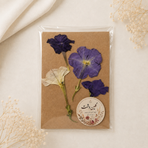 گل اطلسی نیمرخ و تمام رخ شاخه‌ای خشک طبیعی – رنگی (4 شاخه)