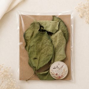 برگ چروک رز بزرگ خشک طبیعی – سبز (۸ عددی)