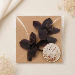 سرگل ارکیده سیمبیدیوم خشک طبیعی - بنفشِ تیره و عمیق (۲ عددی)