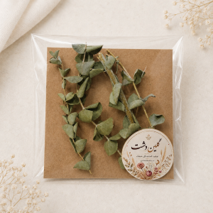شاخه و برگ اکالیپتوس خشک طبیعی – طیف سبز و سبزآبی (۴ شاخه)