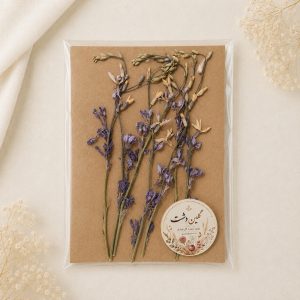 شب‌بو برجسته خشک طبیعی - طیف یاسی زرد (۷ شاخه)
