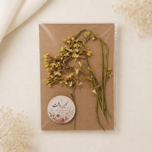 گل کلزا زرد برجسته خشک طبیعی – شاخه‌بلند (۸ شاخه)