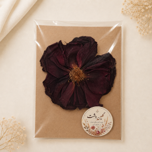سرگل رز بزرگ خشک طبیعی - طیف زرشکی بادنجانی (۱ عددی گل درشت)