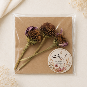 گل خارمریم خشک طبیعی – شاخه بزرگ (۳ عدد)