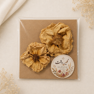 سرگل رز مینیاتوری خشک طبیعی - طیف استخوانی کرمی (۲ عددی گل درشت)