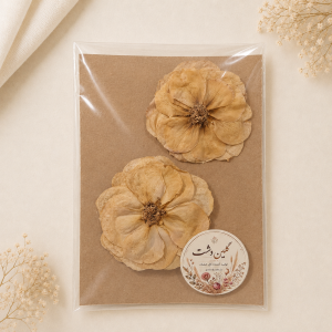 سرگل رز مینیاتوری خشک طبیعی - بژ وینتج (۲ عددی)