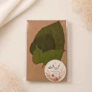 برگ پرسی بوگنویلیا (گل کاغذی) خشک طبیعی – طیف سبز (۴ عددی)
