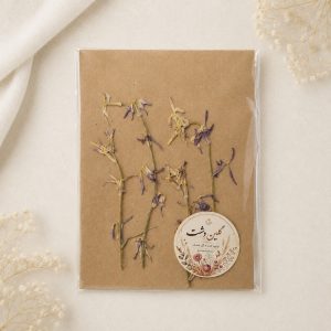 گل شب بو صحرایی پرسی خشک طبیعی – بدون برگ (4 شاخه)