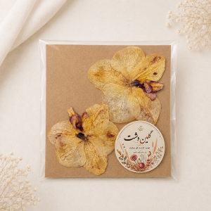 سرگل ارکیده مینیاتوری پرسی خشک طبیعی - خردلی عسلی با مرکز بادنجانی (۲ عددی)