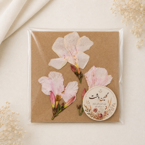 اولندر (خرزهره) پرسی خشک طبیعی - صورتی کمرنگ (۳ شاخه با غنچه)