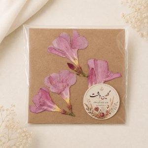 اولندر (خرزهره) پرسی خشک طبیعی - صورتی پررنگ (۳ شاخه با غنچه)