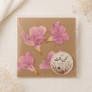 سرگل اولندر (خرزهره) پرسی خشک طبیعی - صورتی پررنگ (۴ عددی)
