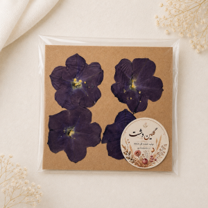 سرگل اطلسی پرسی خشک طبیعی - بنفش جوهری (۴ عددی)