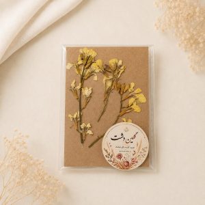 گل کلزا زرد پرسی خشک طبیعی – شاخه‌بلند (۳ شاخه)
