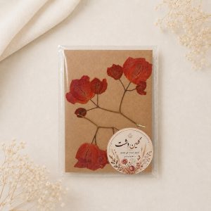 گل کاغذی (بوگنویلیا) پرسی خشک طبیعی – قرمز تونه‌ای (۳ شاخه)