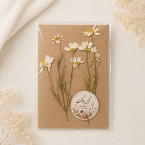 بابونه پرسی خشک طبیعی – شاخه‌بلند چندگل (۴ شاخه)