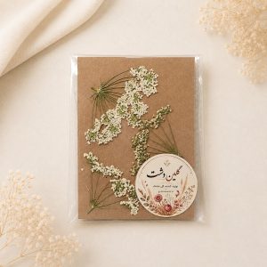 شوکران نیمرخ سفید پرسی خشک طبیعی – متوسط (۳ عددی)