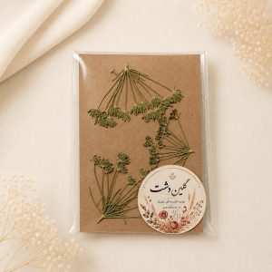 شوکران نیمرخ سبز پرسی خشک طبیعی – کوچک (۳ عددی)