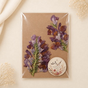 گل میمون پرسی خشک طبیعی - طیف شرابی و بنفش عمیق (۲ شاخه)
