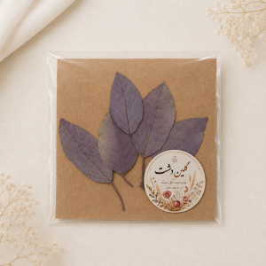برگ ویتکس پرسی خشک طبیعی - طیف بنفش دودی و خاکستری (۵ عددی)