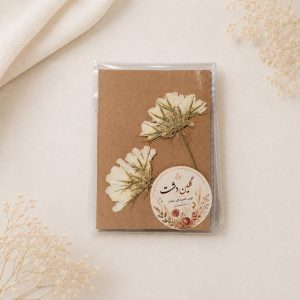اسکابیوزا نیمرخ سفید پرسی خشک طبیعی – شاخه کوتاه (۲ شاخه)