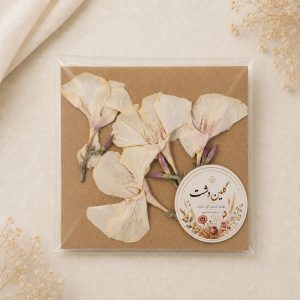 گل اولندر (خرزهره) برجسته خشک طبیعی - طیف سفید شیری (۴ عددی)