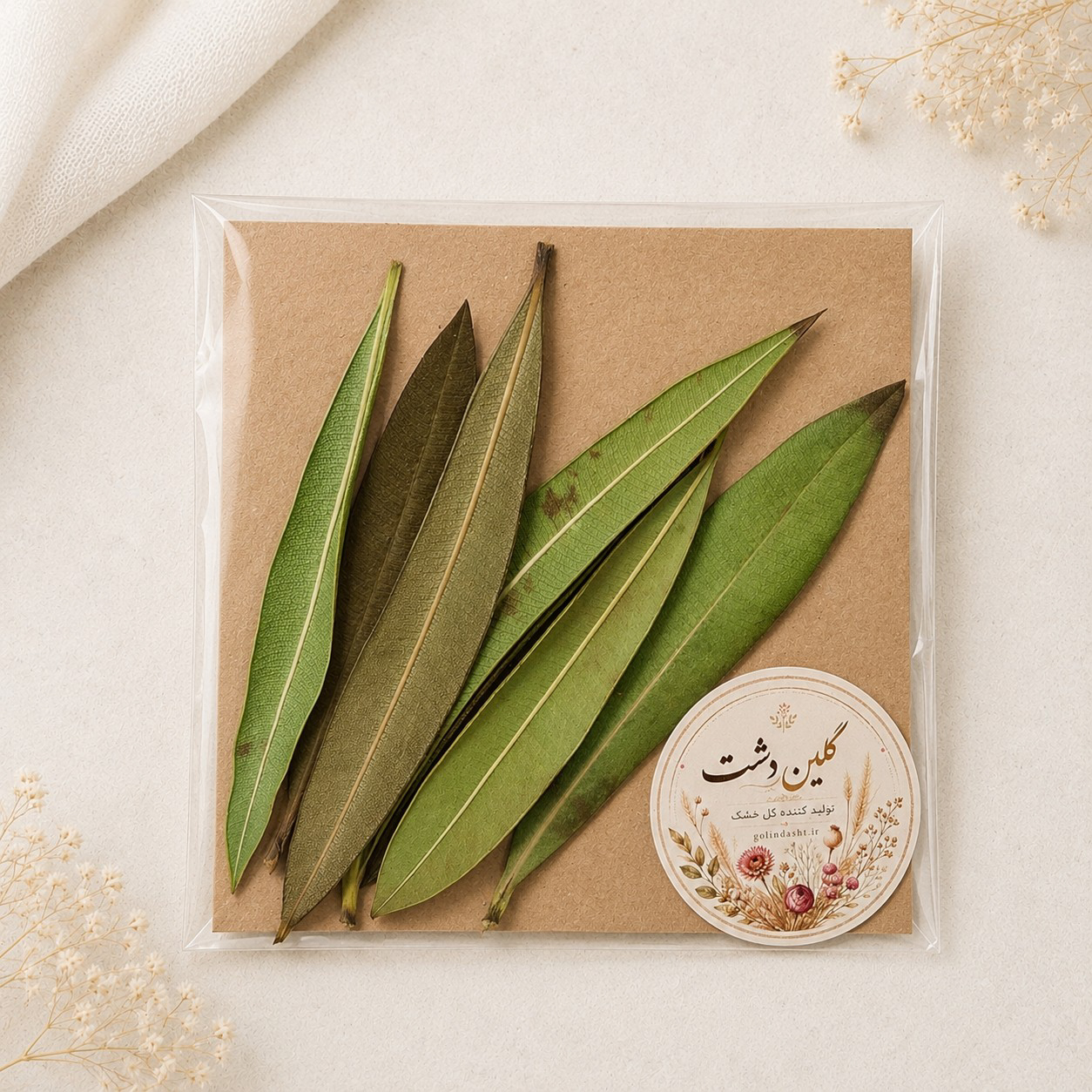 برگ اولندر (خرزهره) برجسته خشک طبیعی - (۷ عددی)