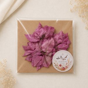 گل کاغذی (بوگنویلیا) چندپر حجمی صاف خشک طبیعی - طیف صورتی (۳ عددی)