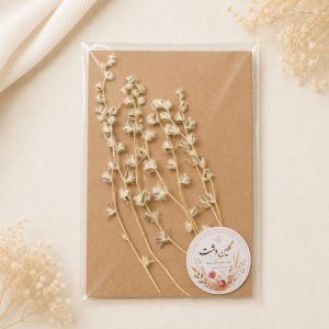 شاخه نقره‌ای کرکی مینیاتوری پرسی - (۷ عددی)