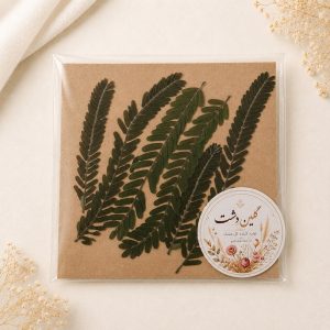 برگ شعله جنگل پرسی خشک طبیعی – کوچک (۶ عددی)