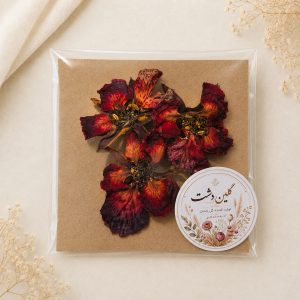 گل شعله جنگل مینیاتوری برجسته خشک طبیعی - (۳ عددی)