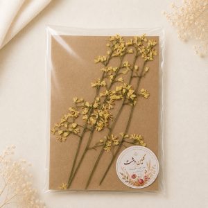 شکوفه چریش پرسی خشک طبیعی - (۴ شاخه)