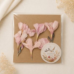 گل اولندر (خرزهره) برجسته خشک طبیعی - طیف صورتی پاستلی (۵ عددی)