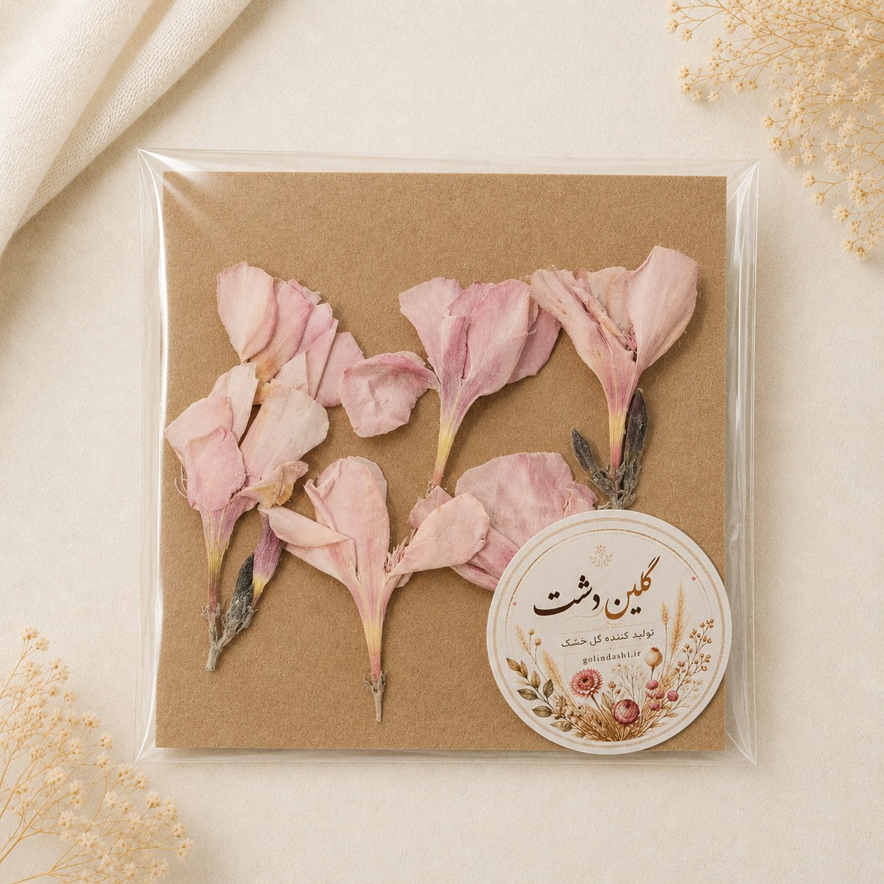گل اولندر (خرزهره) برجسته خشک طبیعی - طیف صورتی پاستلی (۵ عددی)