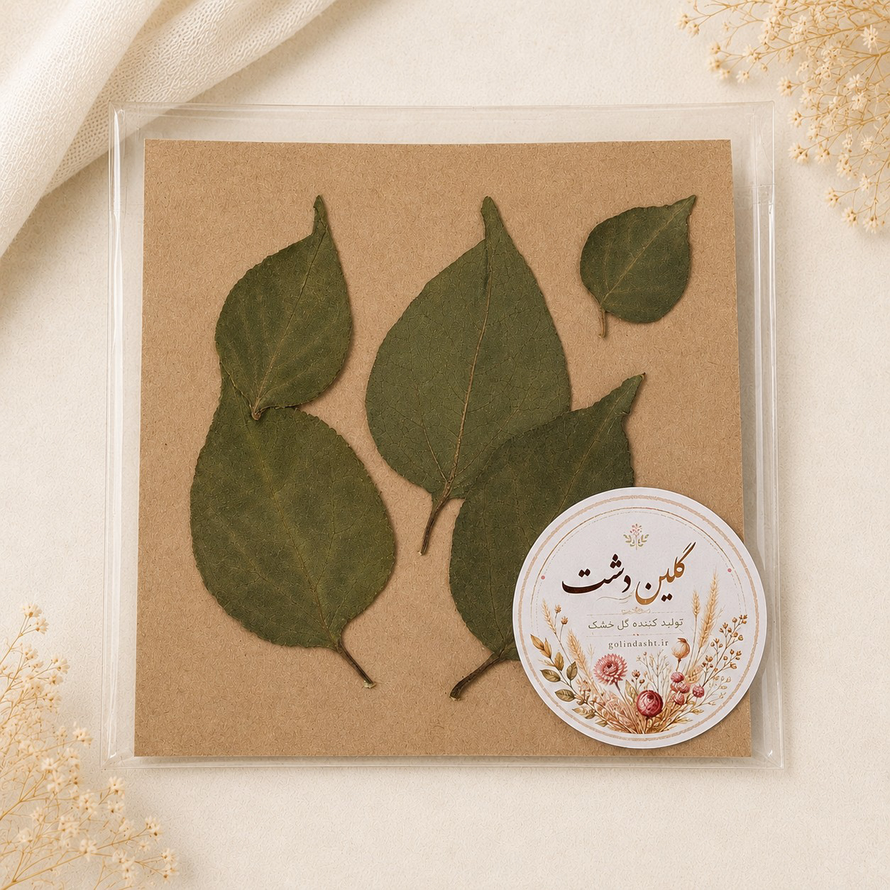 برگ بوگنویلیا (گل کاغذی) پرسی خشک طبیعی - سبز تیره (۵ عددی)