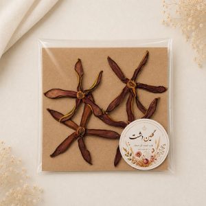 ستاره شعله جنگل پرسی خشک طبیعی - طیف زرشکی-قهوه‌ای با حاشیه طلایی (۴ عددی)