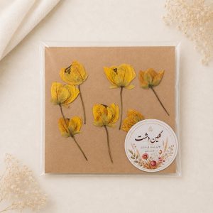 غنچه گل باران طلایی پرسی خشک طبیعی - طیف زرد خورشیدی (۷ شاخه)