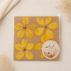 سرگل باران طلایی پرسی خشک طبیعی -  طیف زرد خورشیدی (۴ عددی)