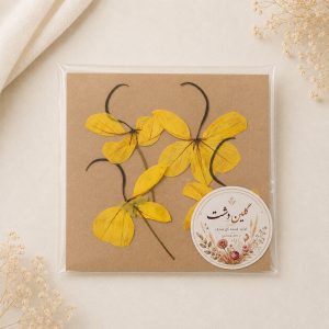 گل باران طلایی نیمرخ پرسی خشک طبیعی - طیف زرد خورشیدی (۴ شاخه)