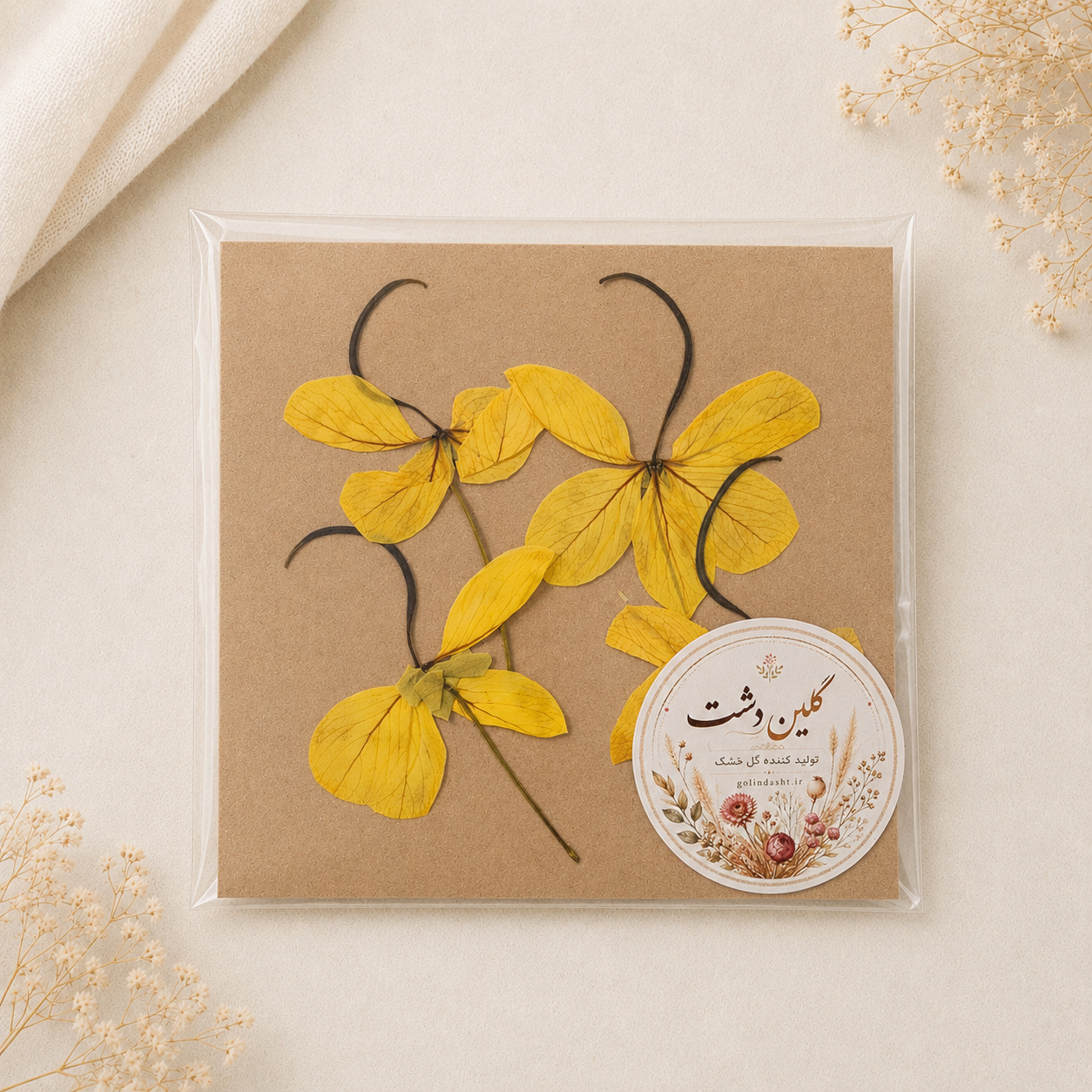 گل باران طلایی نیمرخ پرسی خشک طبیعی - طیف زرد خورشیدی (۴ شاخه)