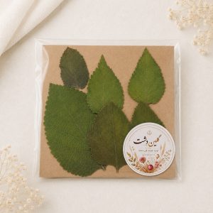 برگ شاه‌پسند پرسی خشک طبیعی - طیف سبز (۶ عددی)