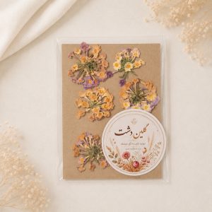 سرگل شاه‌پسند پرسی خشک طبیعی - طیف رنگی میکس (۶ عددی)