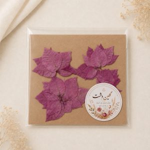 گل کاغذی (بوگنویلیا) چندپر پرسی خشک طبیعی – طیف صورتی (۴ عددی)