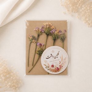 غنچه شاه‌پسند پرسی خشک طبیعی - طیف بنفش (۶ شاخه)