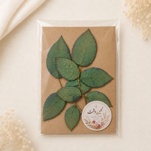 برگ رز هلندی پرسی خشک طبیعی – طیف سبزآبی (۲ چندشاخه)