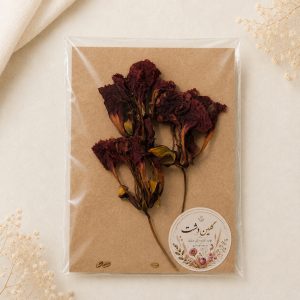 گل برجسته شعله جنگل خشک طبیعی – (۳ شاخه)