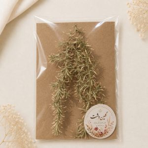 خار نقره‌ای خشک طبیعی – (۳ شاخه)