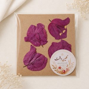سرگل کاغذی (بوگنویلیا) چندپر پرسی خشک طبیعی – طیف صورتی (۴ عددی)